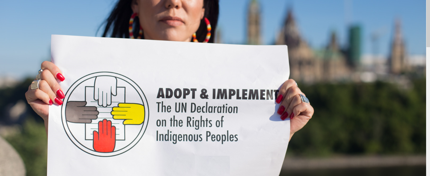 webinar-declaration-of-rights-of-indigenous-peoples-act-investor