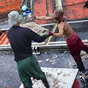 forced labor in seafood sector