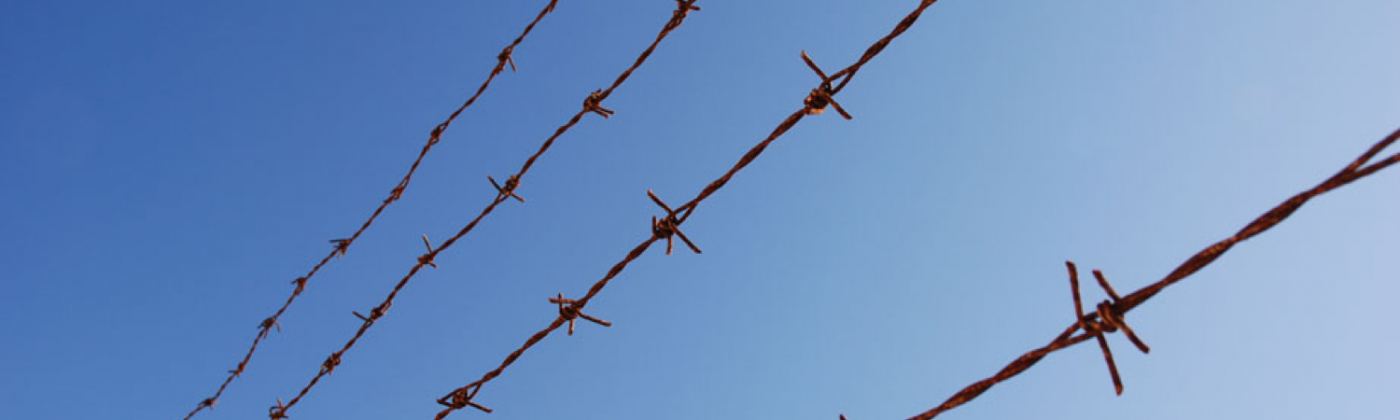 Wire