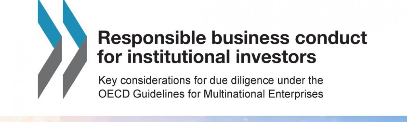 OECD guidance
