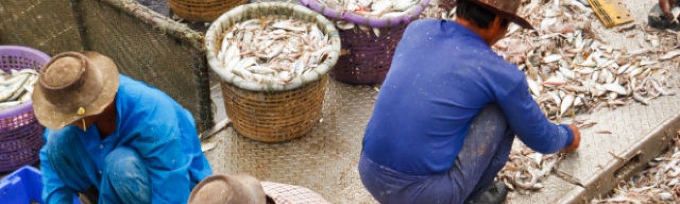 Migrant fishermen