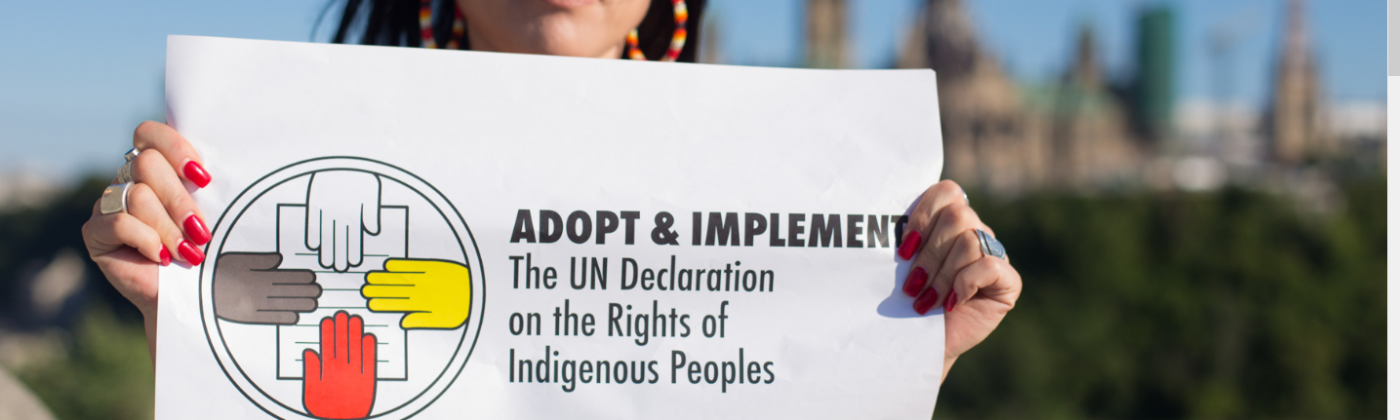 UNDRIP