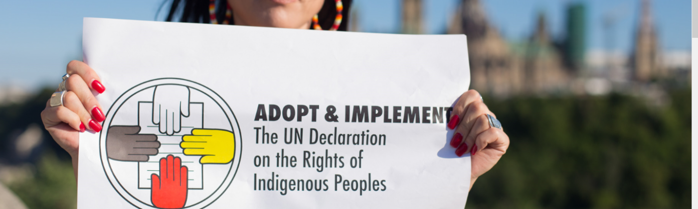 webinar-declaration-of-rights-of-indigenous-peoples-act-investor