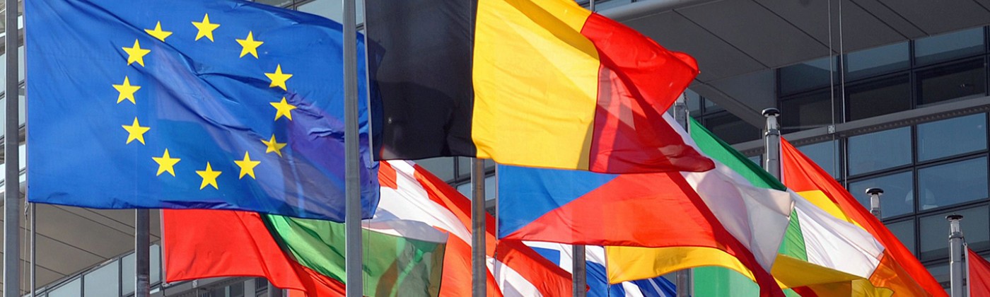 EU Flags