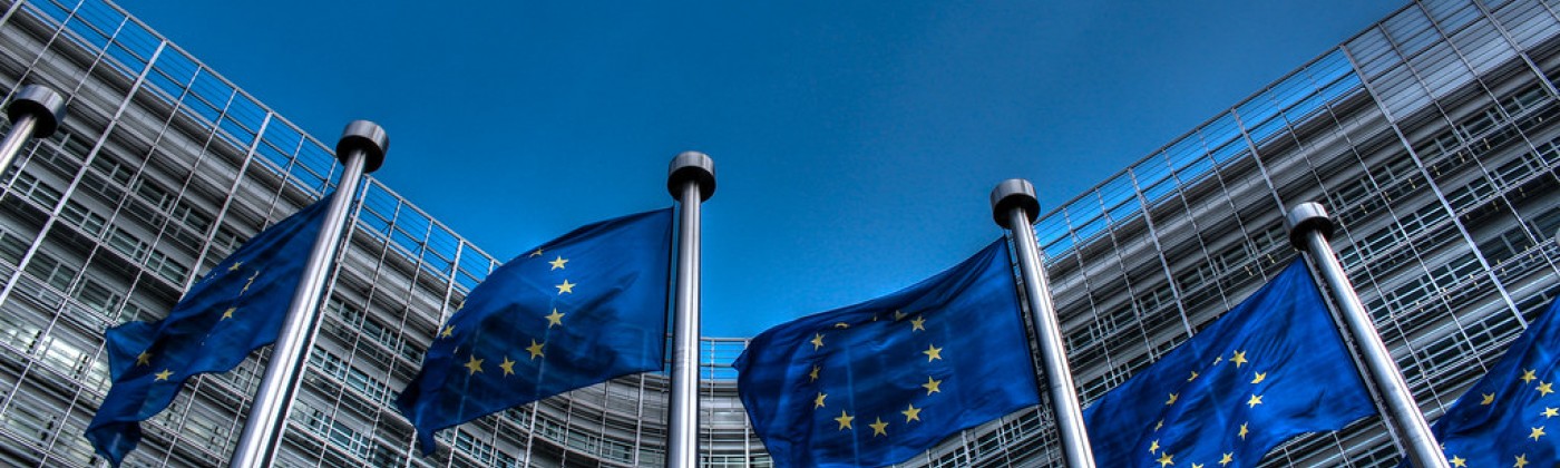 EU flags