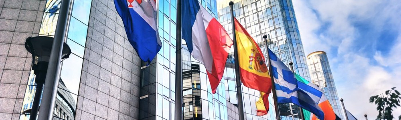 A color photograph of flags of European countries