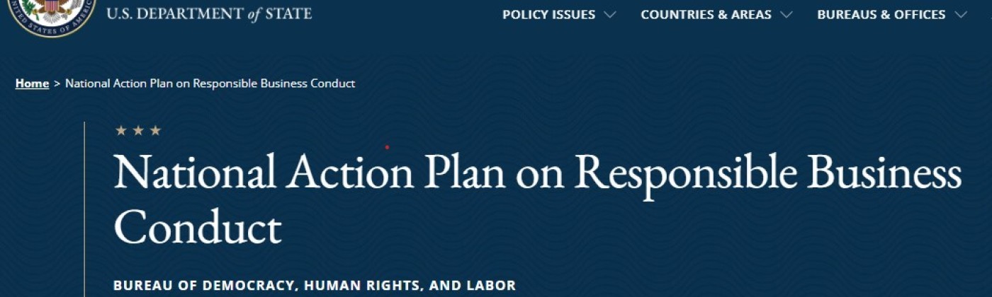 National action plan website header