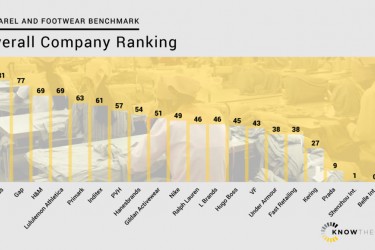 Benchmarking company performance